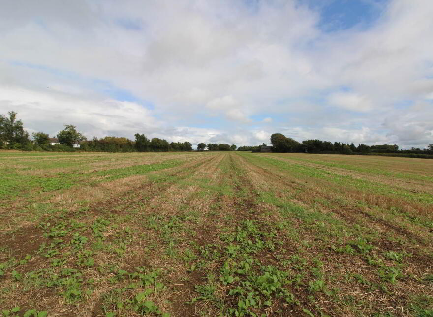 2, Ballyhayden, Borrisokane, Nenagh