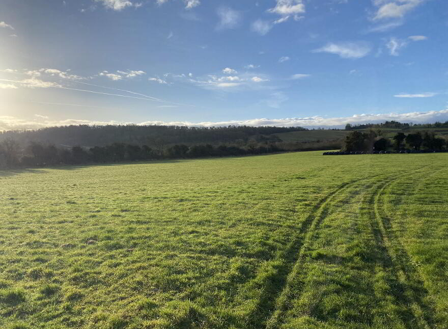 Circa 13.5 Acres At, Garrinch, Jesuits Walk, Fethard