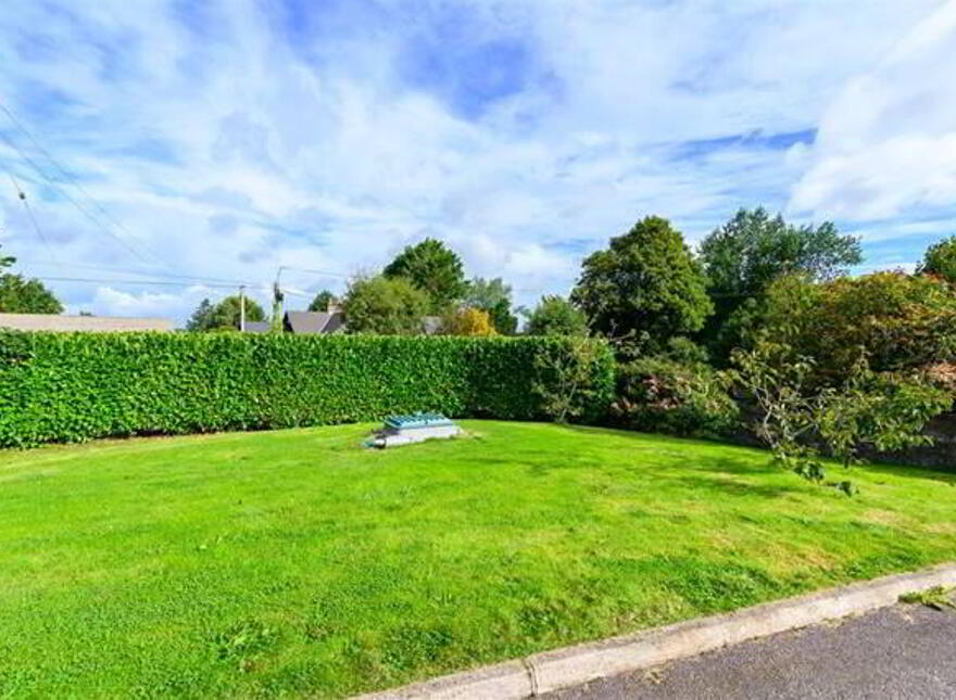 Singai, Lisfehill, Ballinhassig