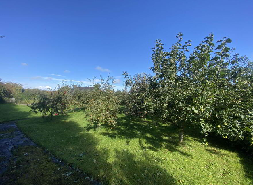 Springfield, Newcastlewest, Broadford
