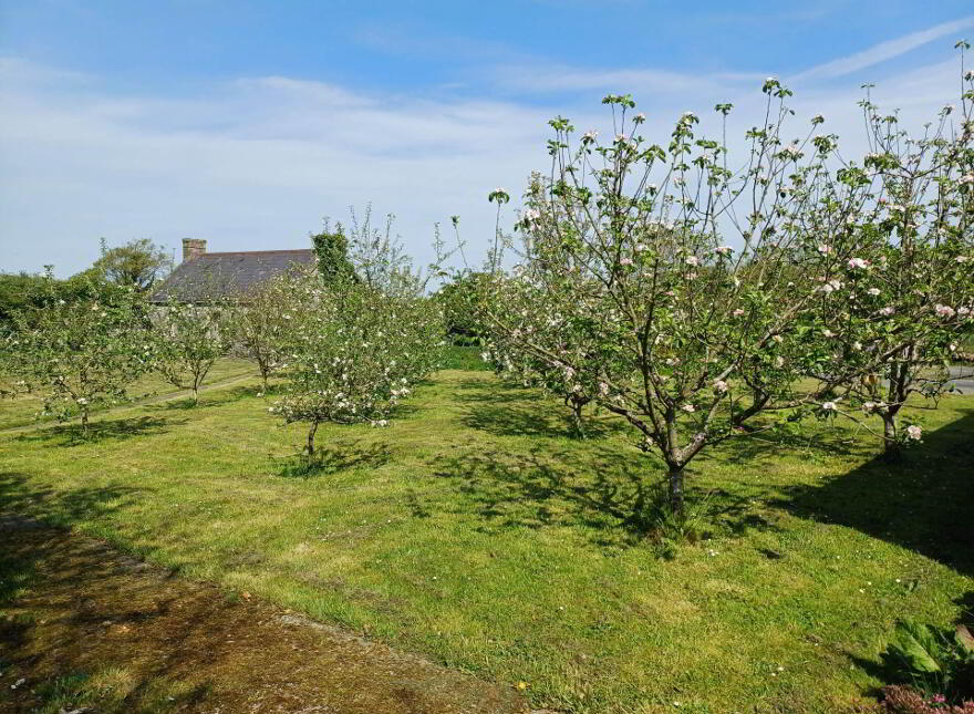 Springfield, Broadford, Dromcolliher, P56H520