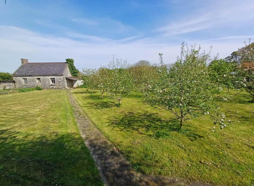Springfield, Broadford, Dromcolliher, P56H520
