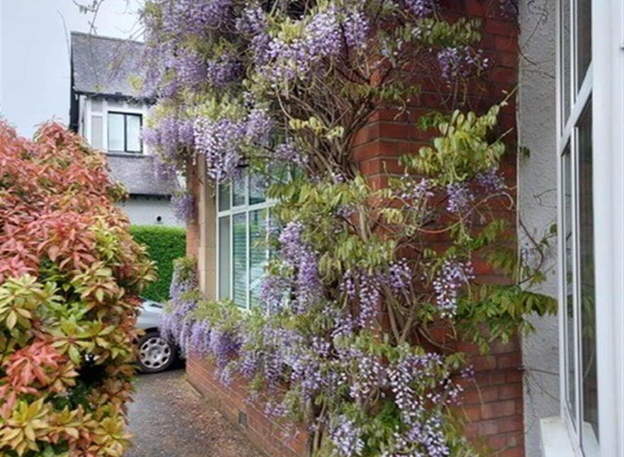 12 Broomhill Park, Malone, Belfast, BT9 5JB