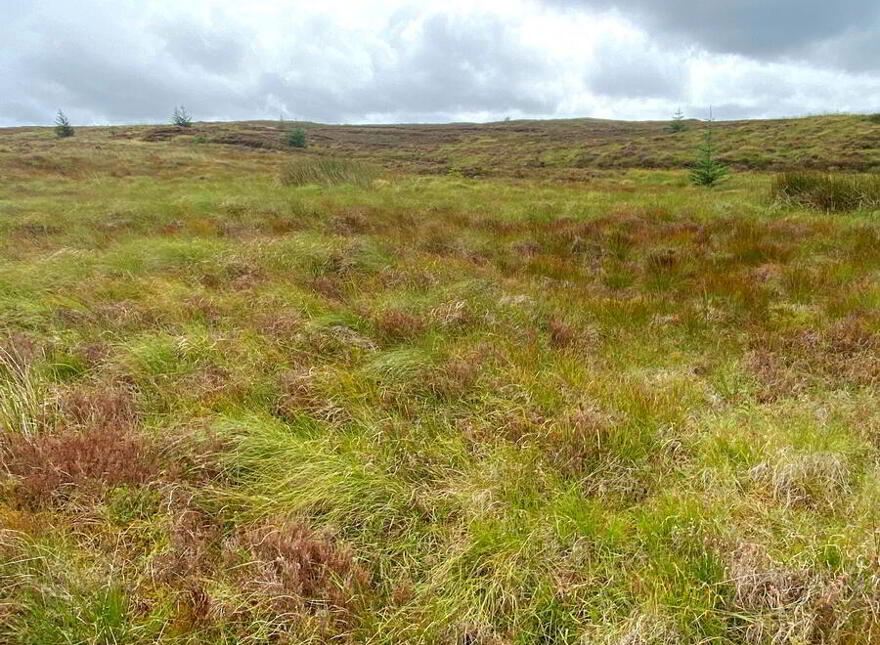 Meenacrumlin, Ballybofey, F93YH34