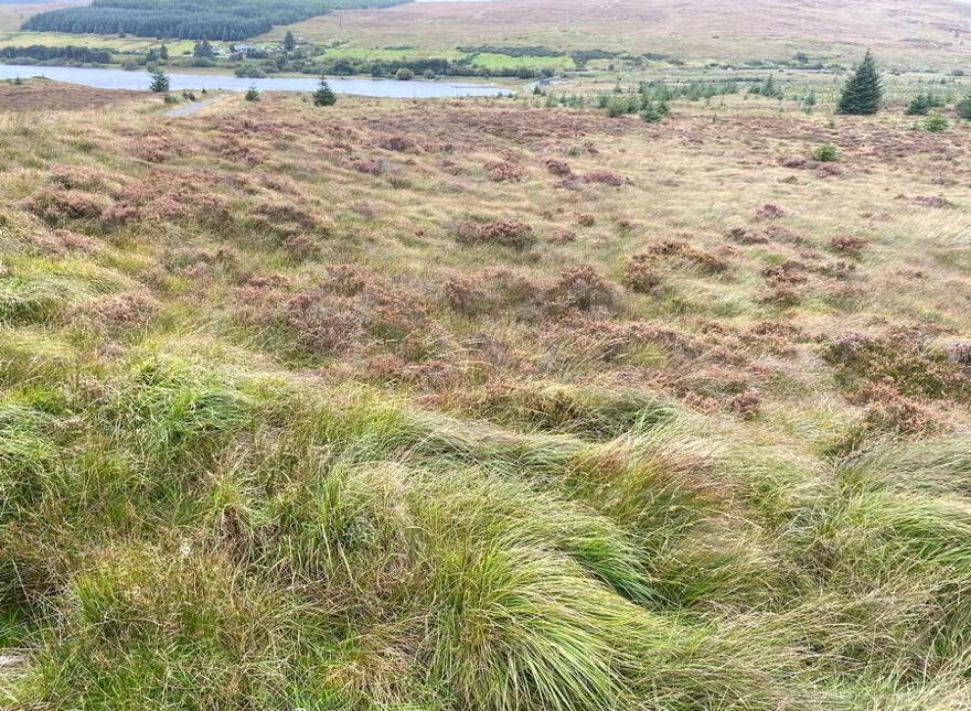 Meenacrumlin, Ballybofey, F93YH34
