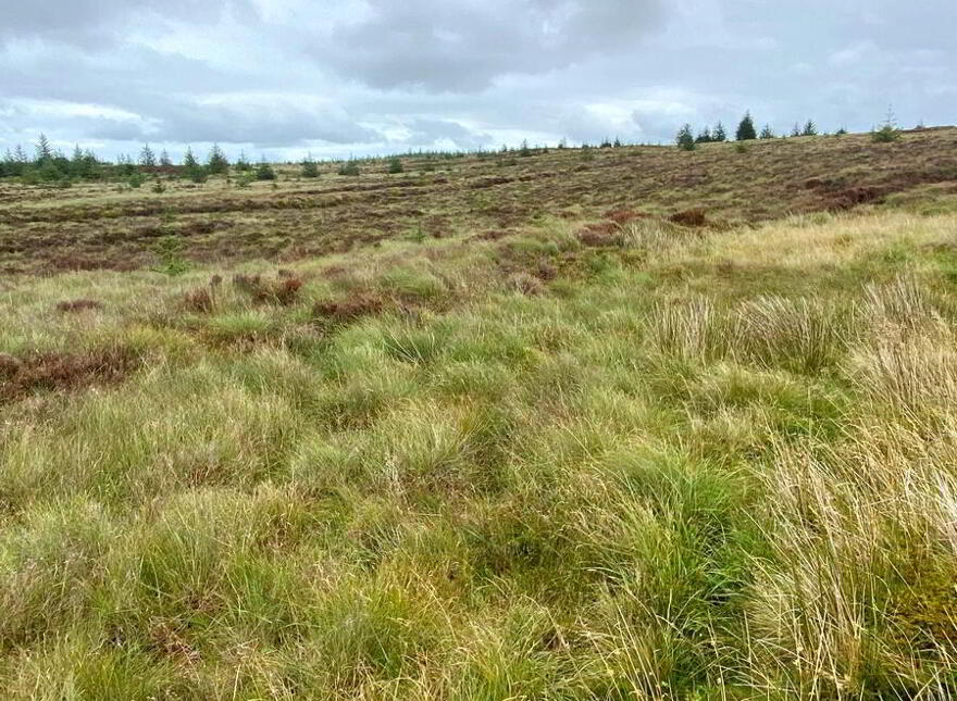 Meenacrumlin, Ballybofey, F93YH34