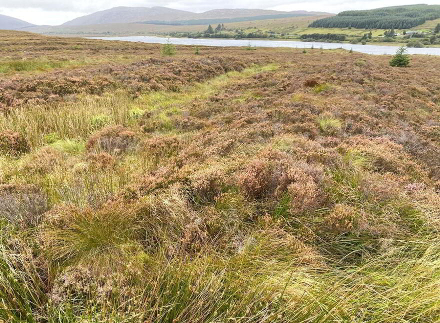 Meenacrumlin, Ballybofey, F93YH34