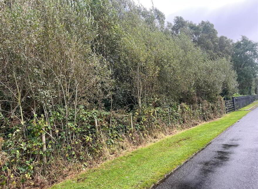 Site, Adjacent To, 11 Derrygarve Road, Newbridge, Magherafelt, BT45 8HA