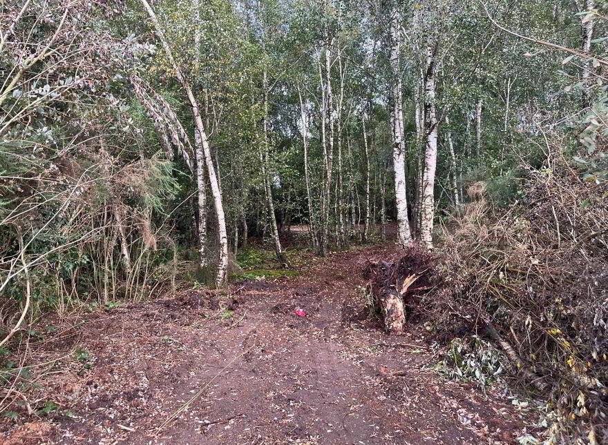 Site, Adjacent To, 11 Derrygarve Road, Newbridge, Magherafelt, BT45 8HA