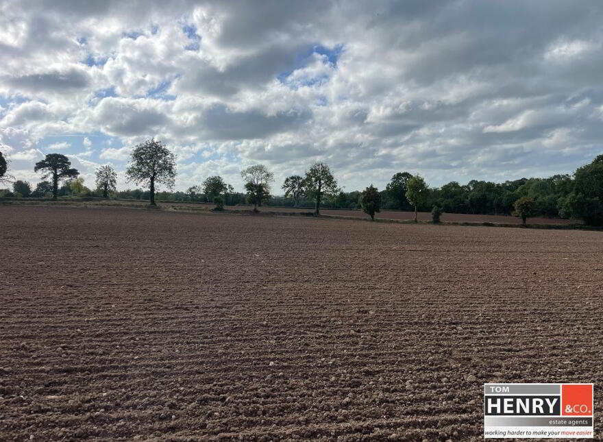Ballycullen Road, Blackwatertown, Dungannon, BT71 7HU