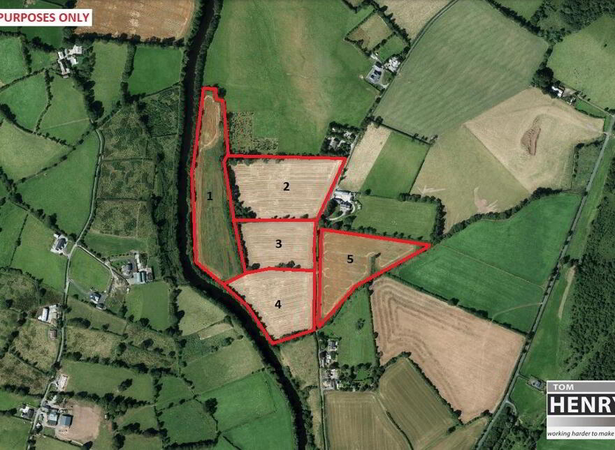 Ballycullen Road, Blackwatertown, Dungannon, BT71 7HU