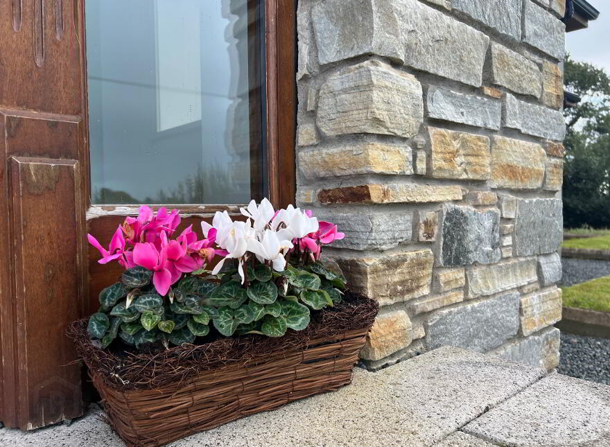 49d Rocktown Road, Knockloughrim, Magherafelt, BT45 8QE