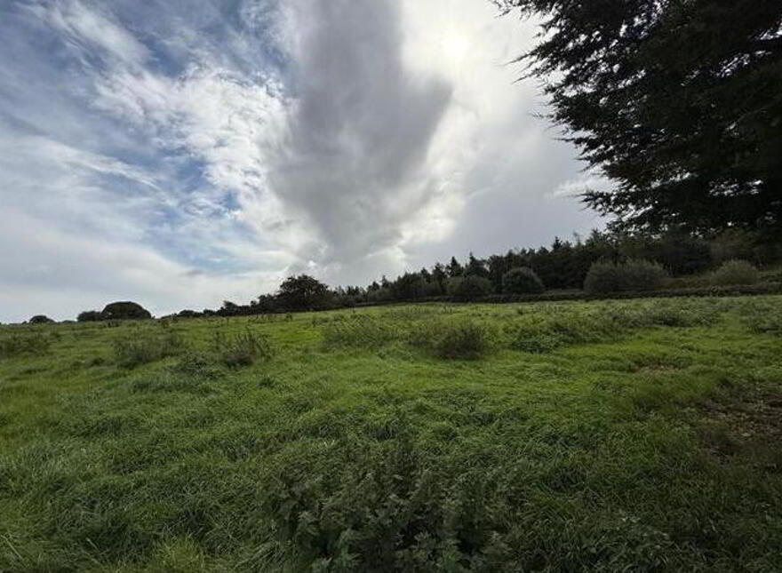 Low Park House, Sonnagh, Charlestown, Mayo, F12KT26