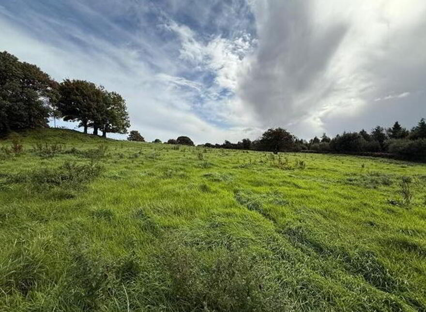 Low Park House, Sonnagh, Charlestown, Mayo, F12KT26