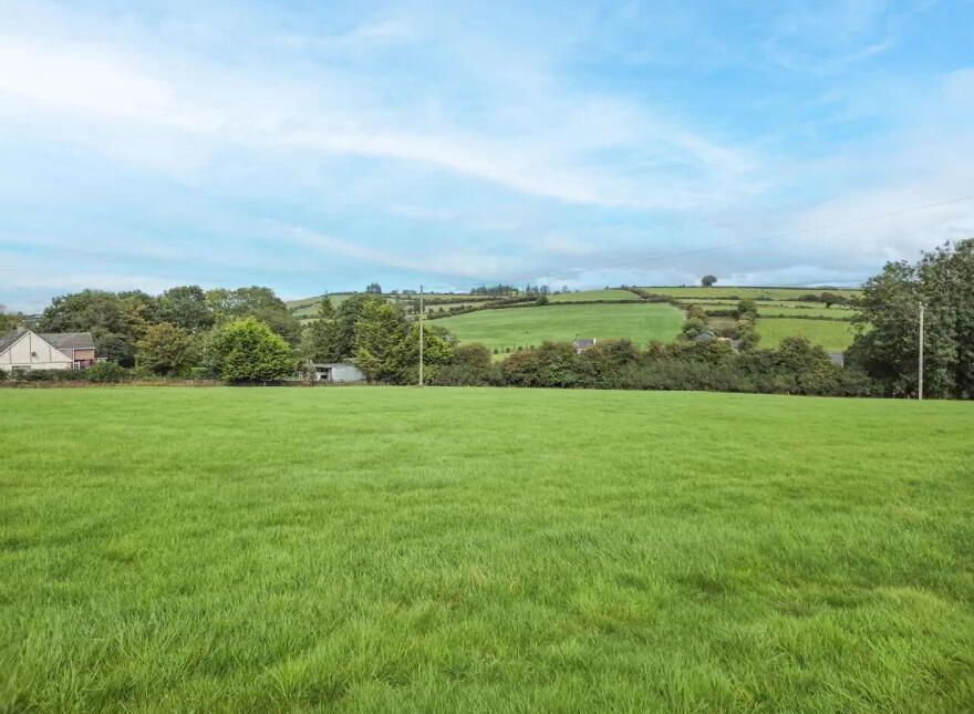 Garrane / Roan, Killenaule, Thurles, E41EK68