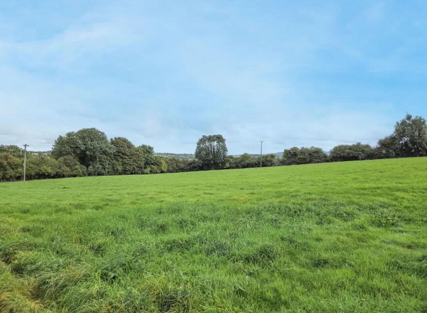 Garrane / Roan, Killenaule, Thurles, E41EK68
