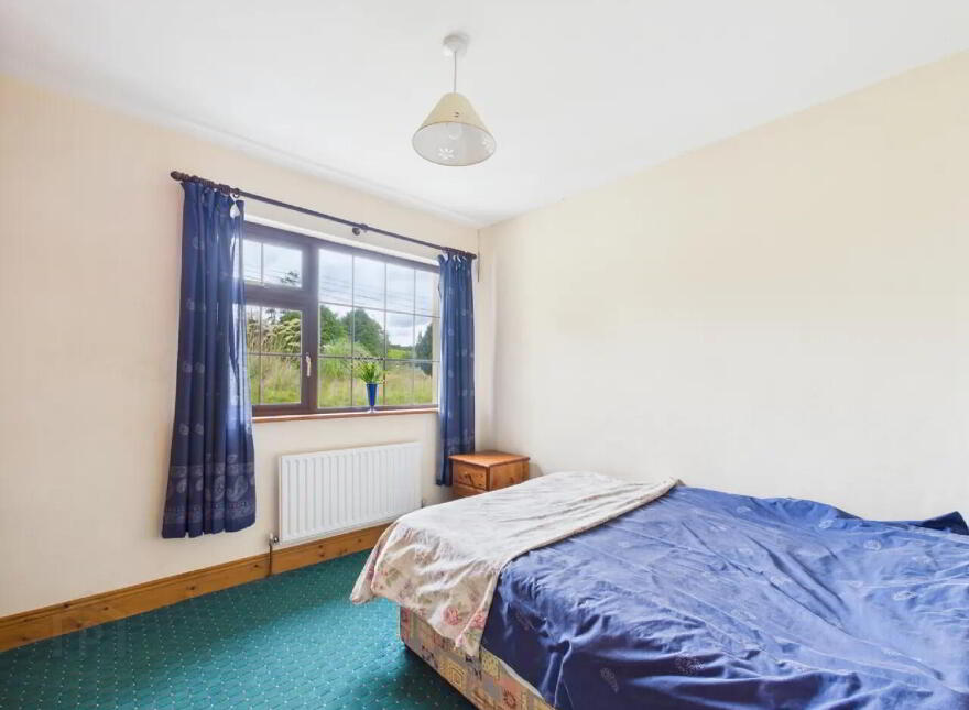 Garrane / Roan, Killenaule, Thurles, E41EK68