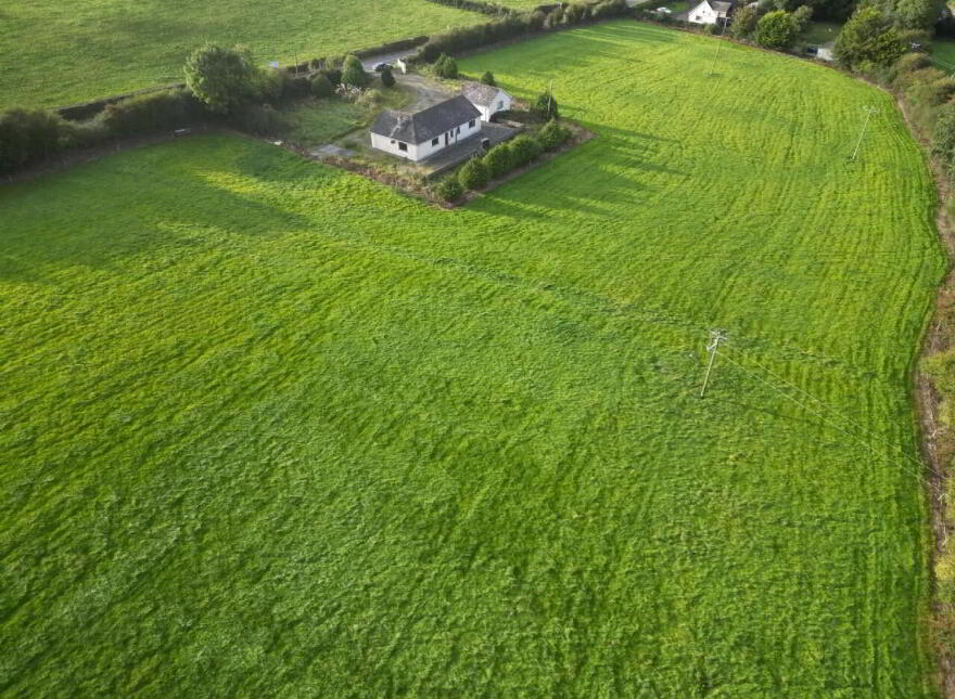 Garrane / Roan, Killenaule, Thurles, E41EK68