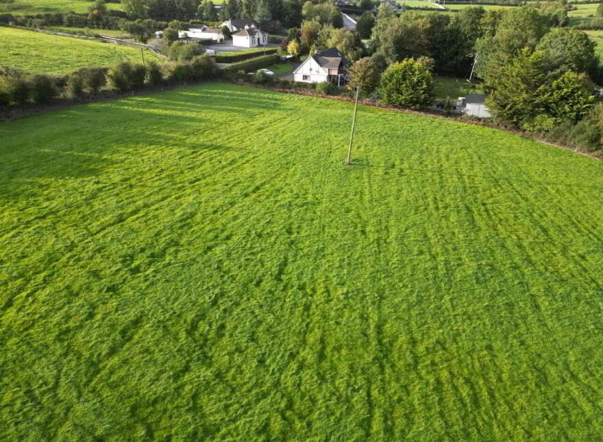 Garrane / Roan, Killenaule, Thurles, E41EK68