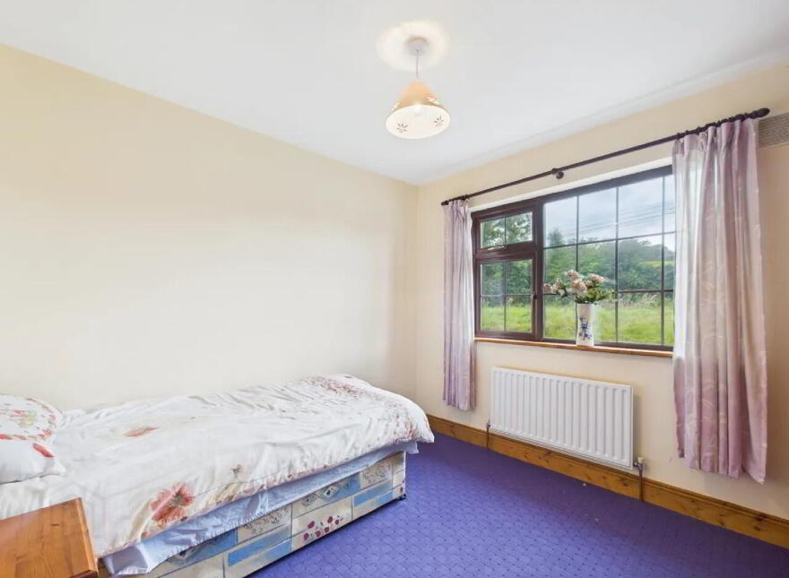 Garrane / Roan, Killenaule, Thurles, E41EK68