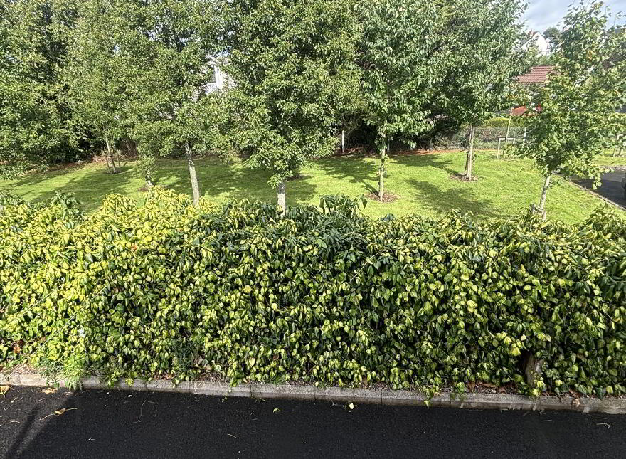 67 Maine Park, Galgorm, Ballymena, BT42 1DP