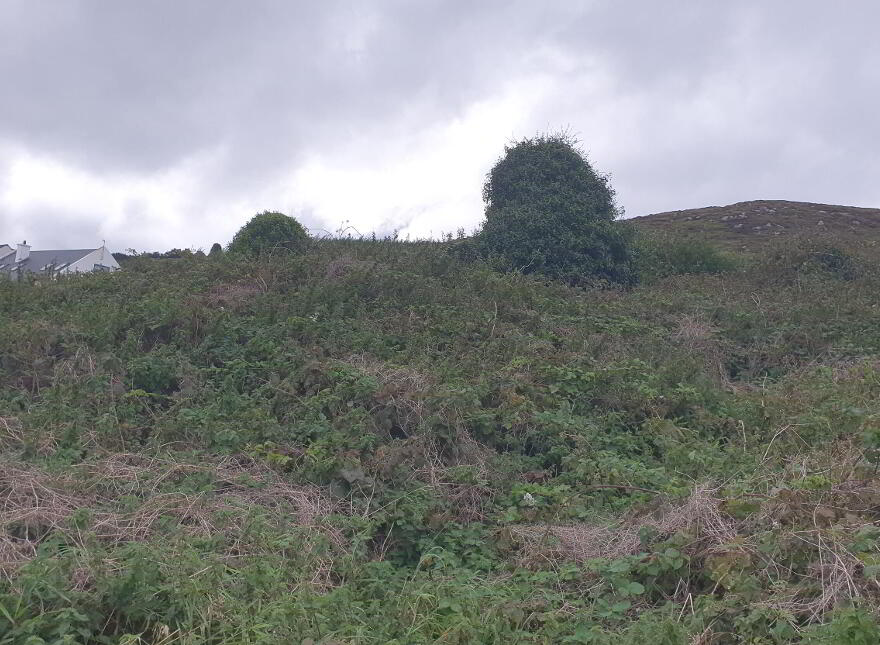Downings, Gortnalughoge, Letterkenny