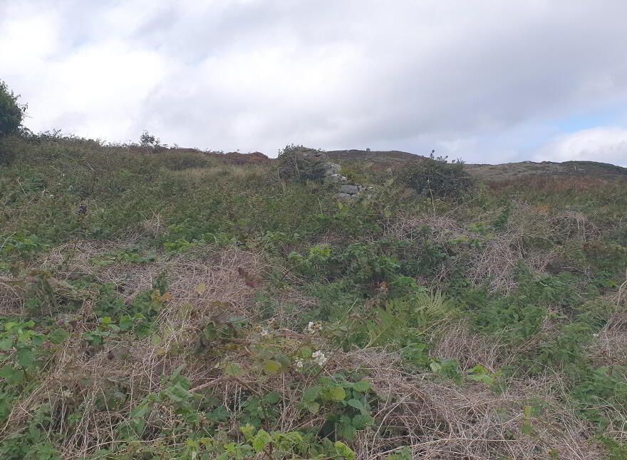 Downings, Gortnalughoge, Letterkenny