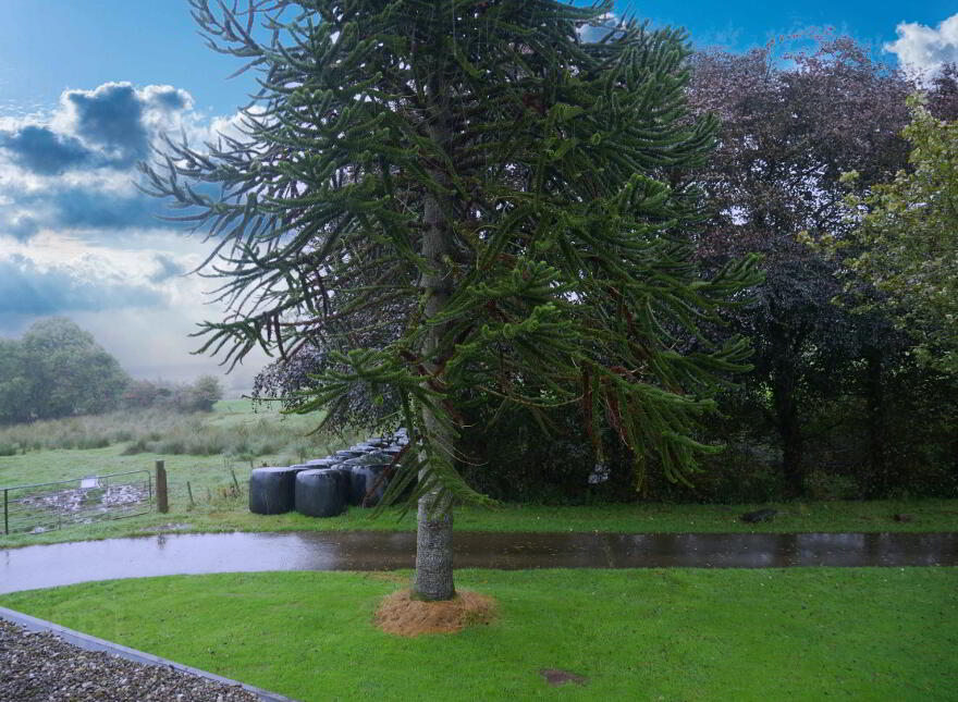 300 Tempo Road, Enniskillen, BT74 4LQ