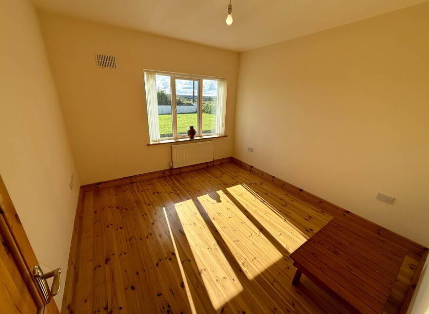 Taghnarra, Ballinlough, Castlerea, F45X050