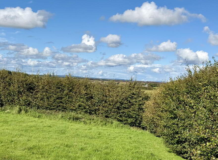Taghnarra, Ballinlough, Castlerea, F45X050