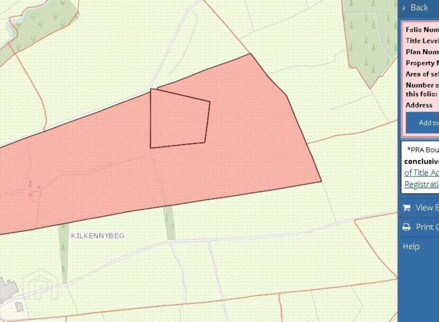 Kilkennybeg, Killenaule