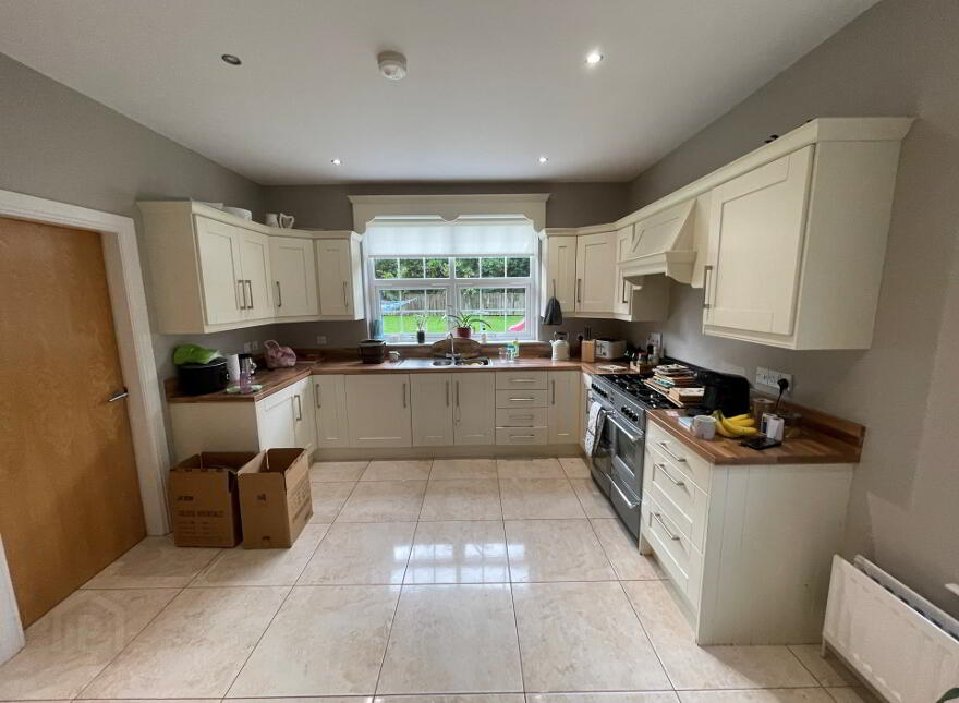 42 The Meadows, Downpatrick, BT30 6LN