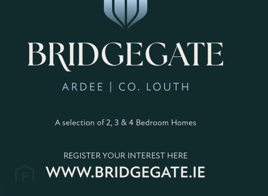 Bridgegate, Ardee photo