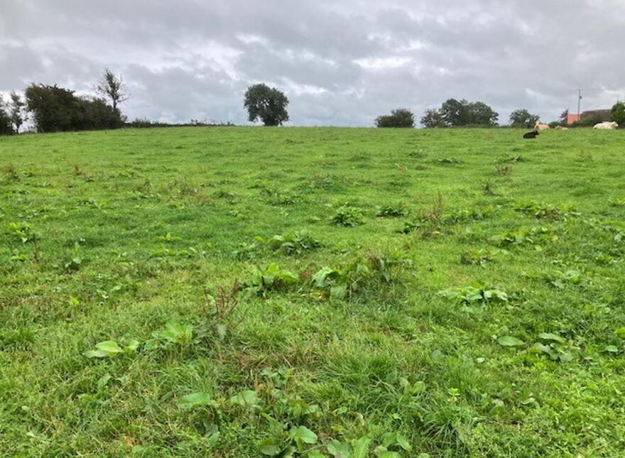 Prime Agricultural Holding, Aughrim Road, Magherafelt, BT45 6JY