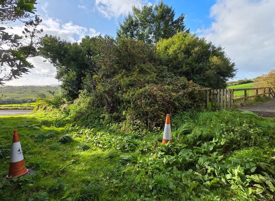 Bunalun, Skibbereen, P81H663
