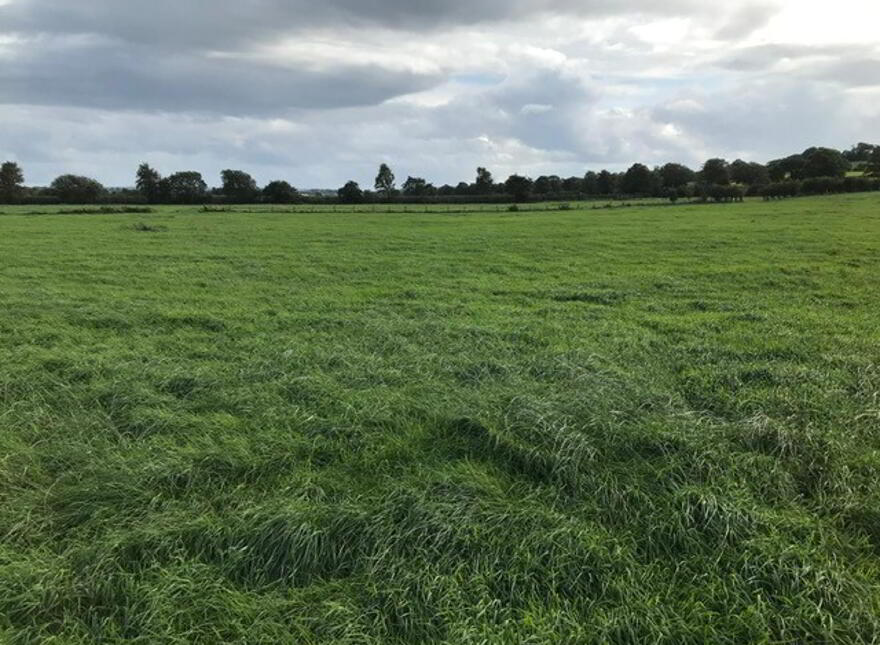 'TULLAGHGORE', Ballybogey Road, Ballymoney, BT53 6QD
