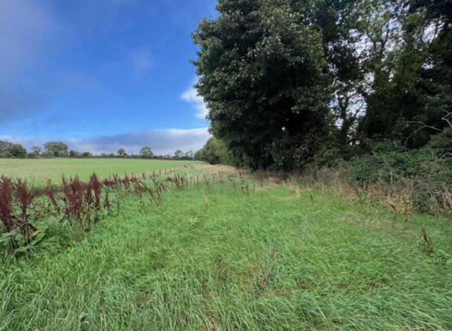 Monksland, Carlingford, A91TD53