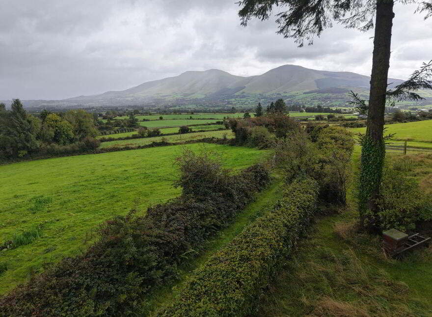 Carraturk, Ballylanders, V35Y195