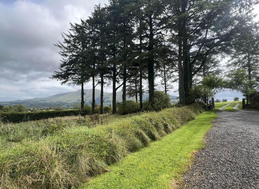 Carraturk, Ballylanders, V35Y195