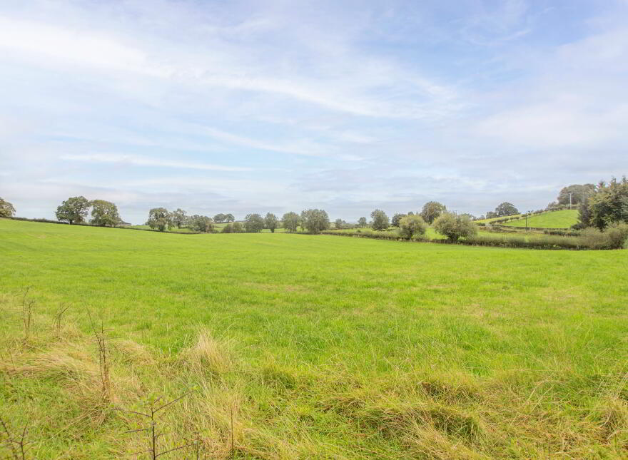 Land On Crew Road & Ballymacilcurr Road, Maghera, BT46 5HP