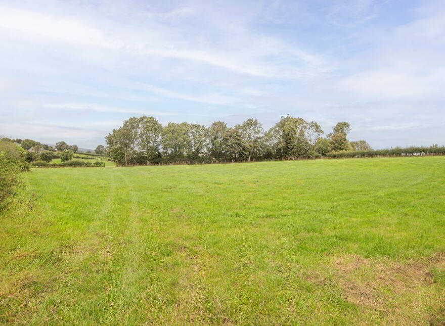 Land On Crew Road & Ballymacilcurr Road, Maghera, BT46 5HP