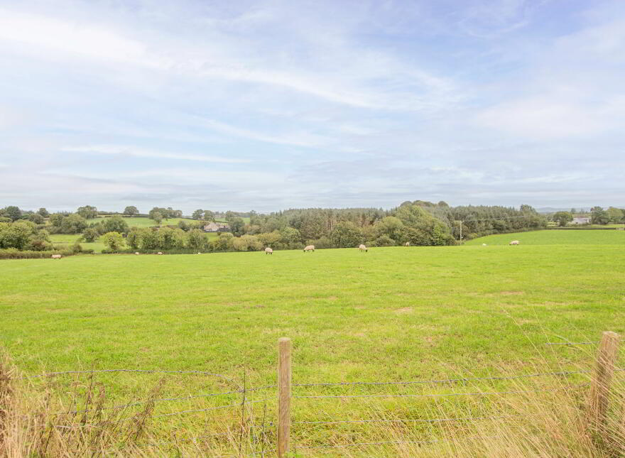 Land On Crew Road & Ballymacilcurr Road, Maghera, BT46 5HP