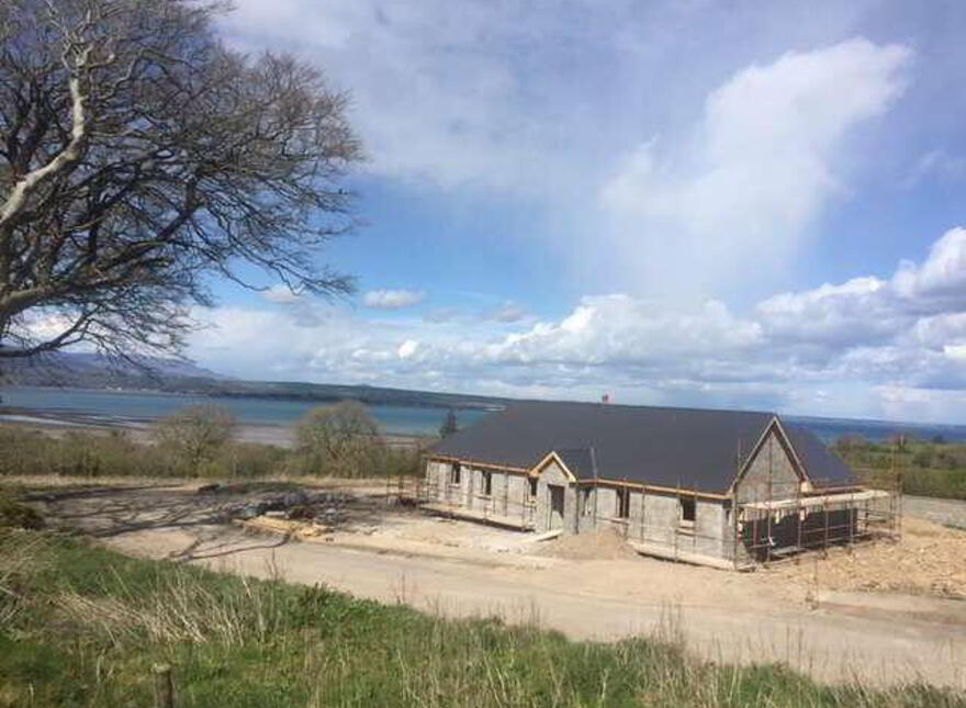 Cluain Na Si, Ring