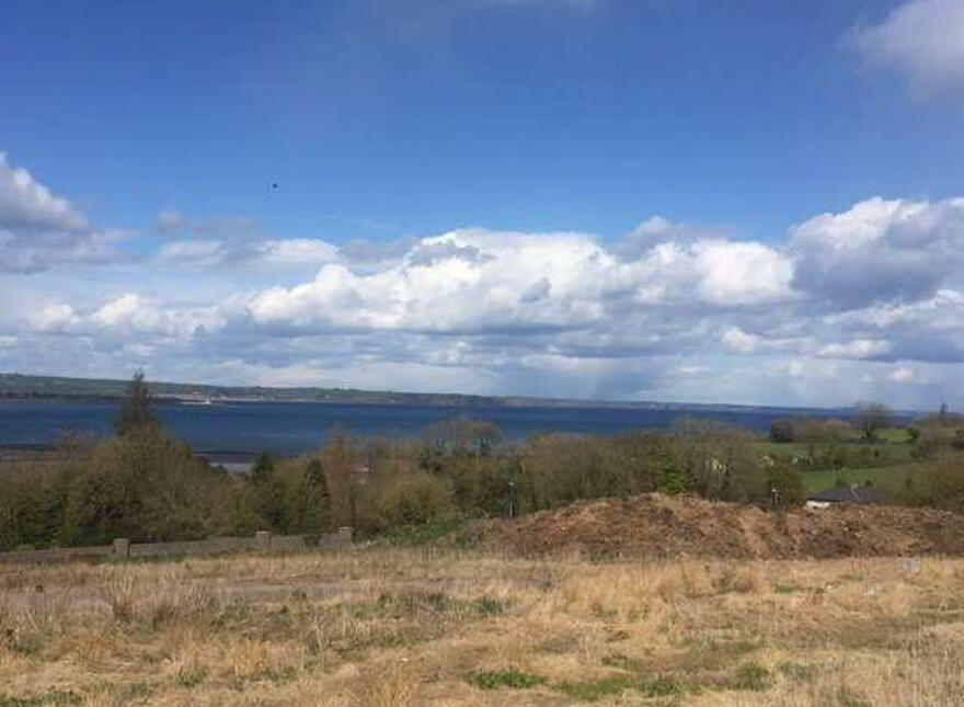 Cluain Na Si, Ring