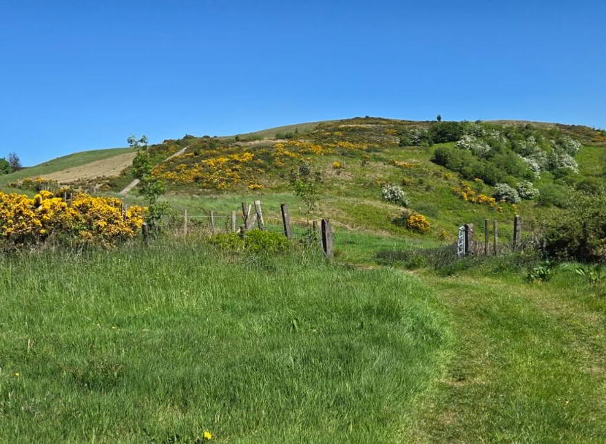 133 Acre Farm 1 Or 2 Lots, Shantavny,, Ballymacilroy,, Ballygawley, BT70 2BP