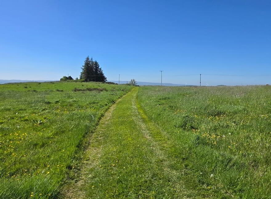 133 Acre Farm 1 Or 2 Lots, Shantavny,, Ballymacilroy,, Ballygawley, BT70 2BP