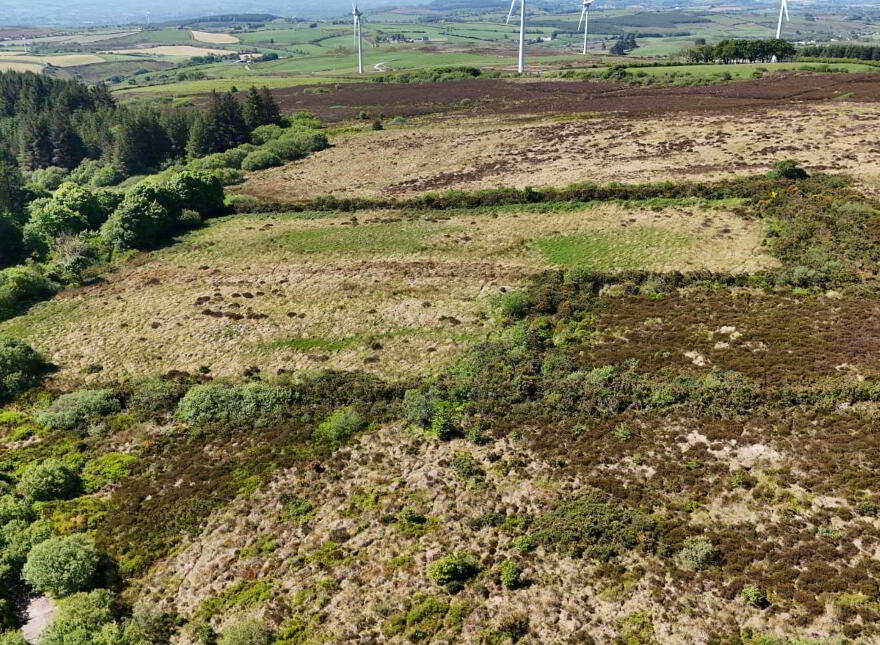 133 Acre Farm 1 Or 2 Lots, Shantavny,, Ballymacilroy,, Ballygawley, BT70 2BP