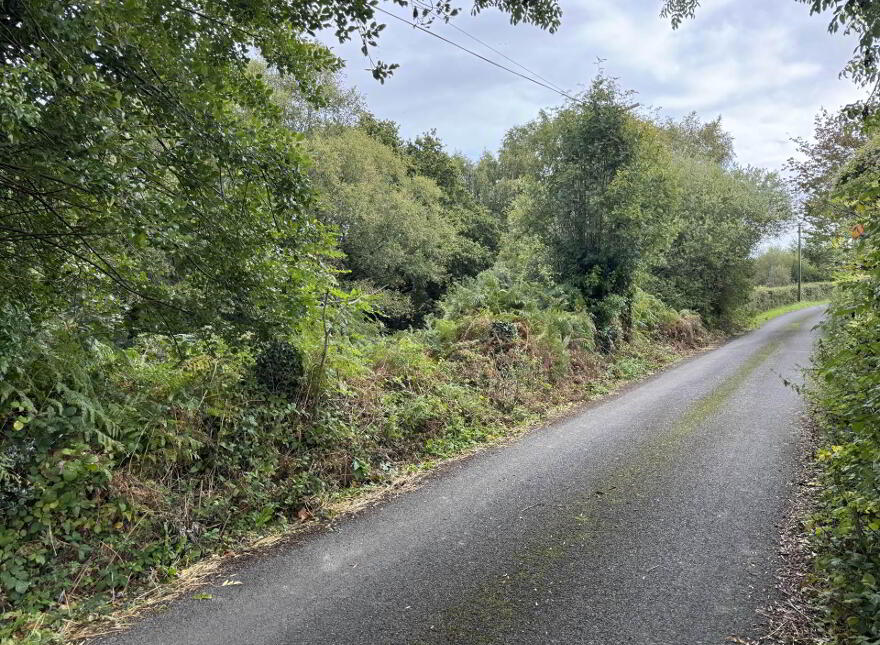 Poulboy, Clonmel