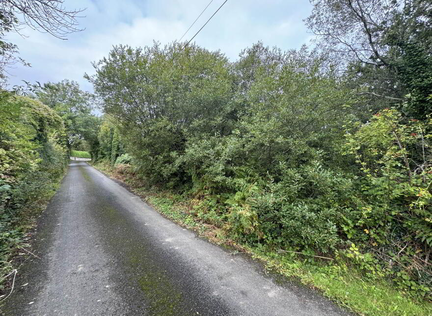 Poulboy, Clonmel