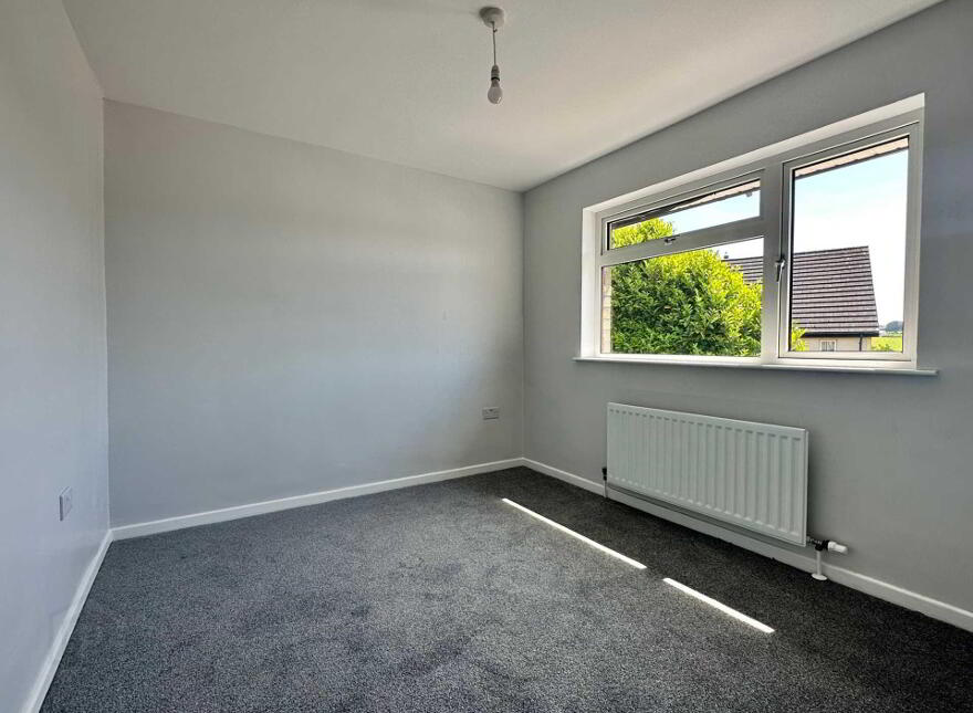 3 Castletown Park, Ballynure, Ballyclare, BT39 9QE